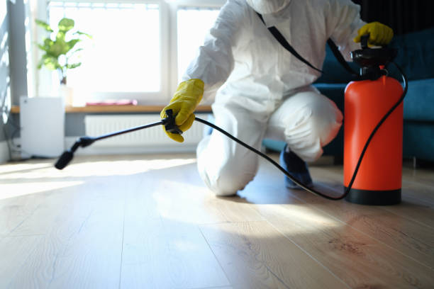 Reliable Odor Removal contractor in Dania, FL by Trauma Clean Pros